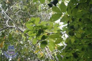 129_7.jpg