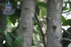 165_8.jpg
