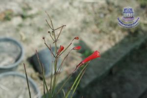 166_8.jpg