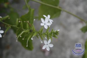 173_10.jpg