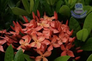 180_2.jpg