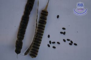 182_7.jpg
