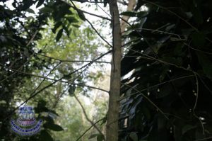 189_8.jpg