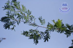 192_3.jpg