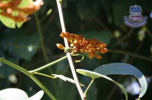 196_10.jpg