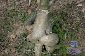 209_10.jpg