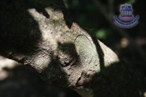 286_9.jpg