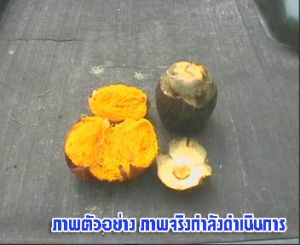 289_3.jpg