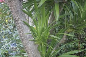 30_10.jpg