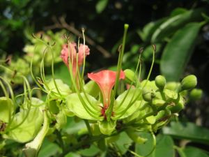IMG_0400.JPG