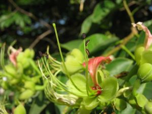 IMG_0402.JPG