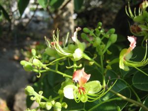 IMG_0407.JPG