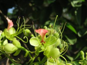 IMG_0411.JPG