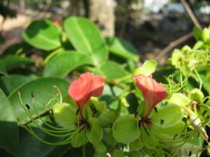 IMG_0414.JPG