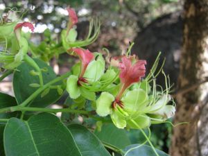 IMG_0417.JPG