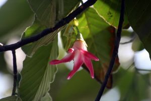 IMG_5942.JPG