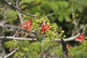 _MG_6086.JPG