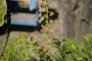 _MG_6122.JPG
