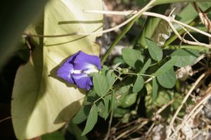 _MG_6360.JPG