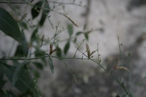 _MG_6363.JPG