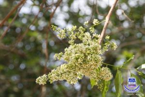 _MG_7550.JPG