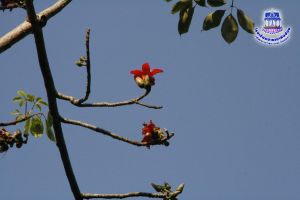 _MG_7925.JPG