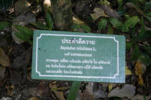 _MG_8560.JPG