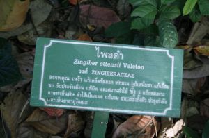 _MG_8653.JPG