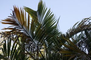_MG_8790.JPG