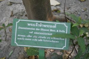 _MG_9206.JPG