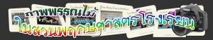 header_b.jpg