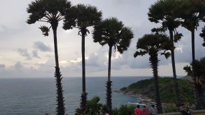 20180908_172135.jpg