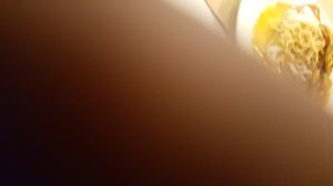 20180909_062431.jpg