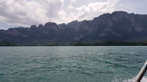 20180909_141047.jpg