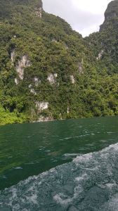 20180909_143710.jpg