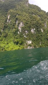 20180909_143712.jpg