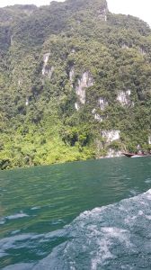 20180909_143714.jpg