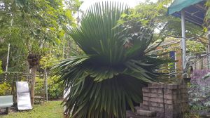 20180910_143001.jpg