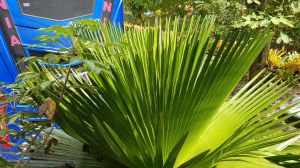 20180910_143159.jpg