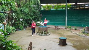 20190904_103234.jpg
