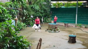 20190904_103236.jpg
