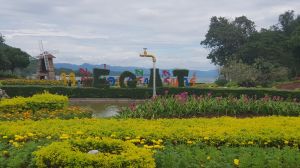 20190913_125541.jpg