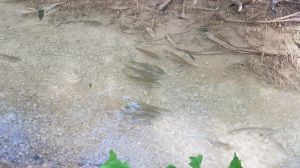 20190913_154235.jpg