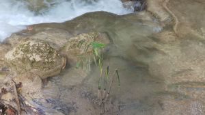 20190913_154257.jpg