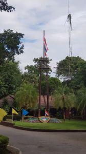 20190913_155335.jpg
