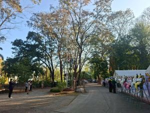 LINE_ALBUM_ถวายพวงมาลาศาลพระปิ่น7-1-69_260109_5.jpg