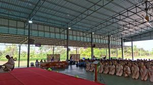 scout67-252.jpg