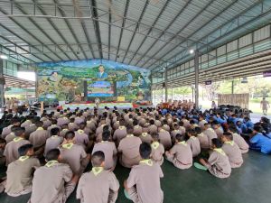 scout67-290.jpg