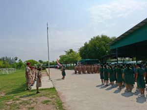 scout67-308.jpg