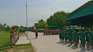 scout67-310.jpg